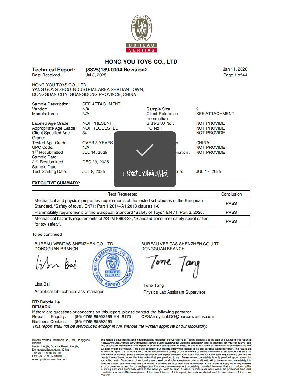 Squishy Bureau Veritas technical report